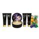 Подарочный набор Shunga Geishas Secrets &ndash; Exotic Fruits для шикарной ночи вдвоем SO7823 фото 2