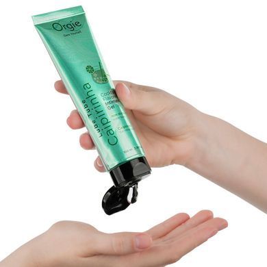 Лубрикант на водной основе Orgie Lube Tube Cocktail Caipirinha, 100 мл, вкус цитрусового коктейля SX1513 фото Купить   Orgie (Бразилія-Португалія) 498 грн