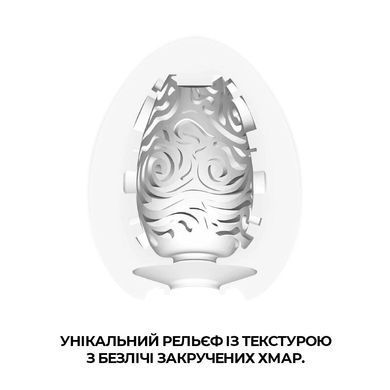 Мастурбатор-яйце Tenga Egg Cloudy (хмарний) E24240 фото Купити Мастурбатор-яйце Tenga Egg Cloudy (хмарний)  Tenga (Японія) 396 грн
