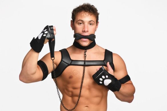 Набор BDSM щенка Master Series Luxury Pup Arsenal Set - Black SX1194 фото Купить Набор BDSM щенок Master Series Luxury Pup Arsenal Set - Black  Master Series  11 712 грн