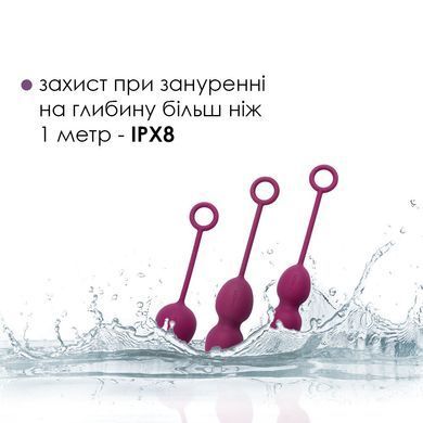 Набор вагинальных шариков со смещенным центром тяжести Svakom Nova Violet SO4831 фото Купить   Svakom (США) 1 755 грн