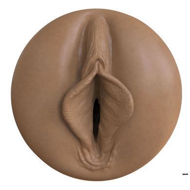 Мастурбатор-вагина Fleshlight Boost Bang Medium Dark Flesh, плавающие кольца Turbo Tech SX1315 фото Купить   Fleshlight (США) 4 286 грн