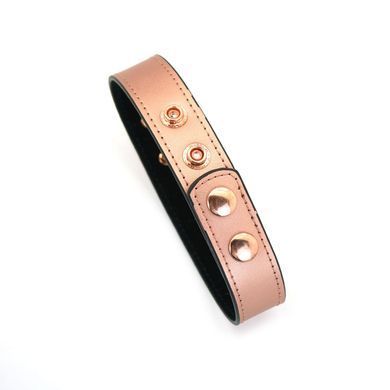 Ошейник с зажимами для сосков Liebe Seele Rose Gold Memory Collar with Nipple Clamps, кожа SO9495 фото Купить Ошейник с зажимами для сосков Liebe Seele Rose Gold Memory Collar with Nipple Clamps, кожа  Liebe Seele  1 779 грн