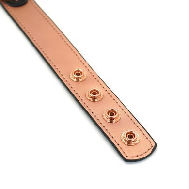 Ошейник с зажимами для сосков Liebe Seele Rose Gold Memory Collar with Nipple Clamps, кожа SO9495 фото Купить Ошейник с зажимами для сосков Liebe Seele Rose Gold Memory Collar with Nipple Clamps, кожа  Liebe Seele  1 779 грн