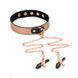 Ошейник с зажимами для сосков Liebe Seele Rose Gold Memory Collar with Nipple Clamps, кожа SO9495 фото 8