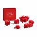 Подарочный набор Bijoux Indiscrets Happily Ever After, Red Label, 4 аксессуара для удовольствия SO8718 фото 1