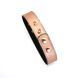 Ошейник с зажимами для сосков Liebe Seele Rose Gold Memory Collar with Nipple Clamps, кожа SO9495 фото 11