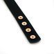 Ошейник с зажимами для сосков Liebe Seele Rose Gold Memory Collar with Nipple Clamps, кожа SO9495 фото 7