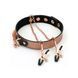 Ошейник с зажимами для сосков Liebe Seele Rose Gold Memory Collar with Nipple Clamps, кожа SO9495 фото 1