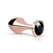 Анальна пробка Rosy Gold - Nouveau Butt Plug SX3049 фото Купити Анальна пробка Rosy Gold - Nouveau Butt Plug  Rosy Gold (Нідерланди) 1 635 грн