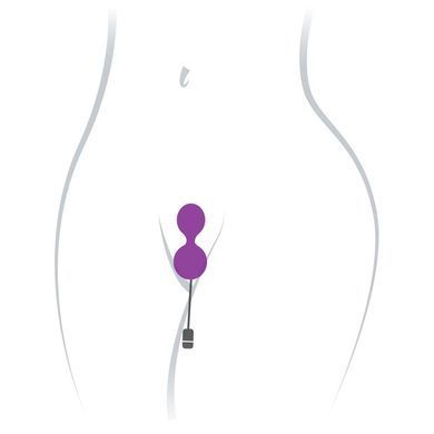 Вагінальні кульки з вібрацією Adrien Lastic Kegel Vibe Purple, діаметр 3,7 см AD40753 фото Купити Вагінальні кульки з вібрацією Adrien Lastic Kegel Vibe Purple, діаметр 3,7 см  Adrien Lastic 3 159 грн