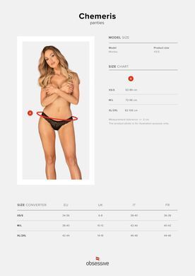Трусики Obsessive Chemeris panties XS/S SO9761 фото Купити Трусики Obsessive Chemeris panties XS/S  Obsessive (Польща) 738 грн