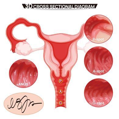 Мастурбатор Kokos 004 Vailla ONAHOLE Real Hips 2WayPlus з вібрацією та масажем SX3238 фото Купити Мастурбатор Kokos 004 Vailla ONAHOLE Real Hips 2WayPlus з вібрацією та масажем  Kokos (Південна Корея) 11 641 грн
