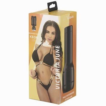 Мастурбатор Kiiroo Feel Victoria June, копия вагины порнозвезды SO5221 фото Купить   Kiiroo (Нідерланди) 2 032 грн