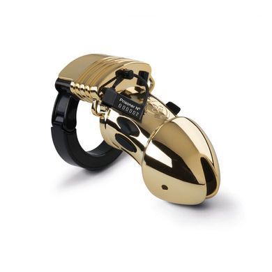 Клітка для члена з електростимуляцією Mystim Pubic Enemy No 1 - Gold Edition SO3809 фото Купити Клітка для члена з електростимуляцією Mystim Pubic Enemy No 1 - Gold Edition  Mystim (Німеччина) 6 375 грн