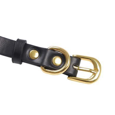 Сумка LOCKINK Detachable JK Bag For Sex Toy Storage & Bondage Play SX0862 фото Купити Сумка LOCKINK Detachable JK Bag For Sex Toy Storage & Bondage Play  LOCKINK (Китай) 4 148 грн
