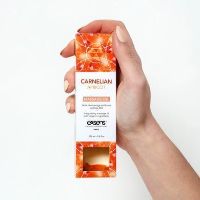 Масажна олія EXSENS Carnelian Apricot (бадьорна з сердоліком) 100мл, натуральна SO2378 фото Купити Масажна олія EXSENS Carnelian Apricot (бадьорна з сердоліком) 100мл, натуральна  Exsens (Франція) 951 грн