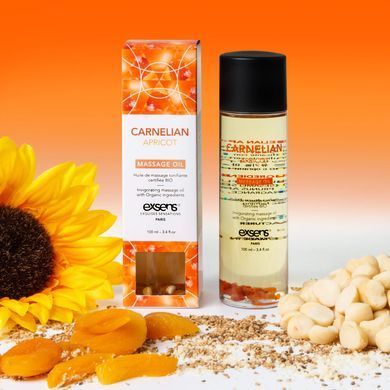 Масажна олія EXSENS Carnelian Apricot (бадьорна з сердоліком) 100мл, натуральна SO2378 фото Купити Масажна олія EXSENS Carnelian Apricot (бадьорна з сердоліком) 100мл, натуральна  Exsens (Франція) 951 грн