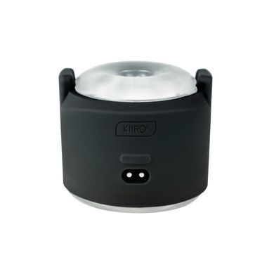 SX3196 фото Купить   Kiiroo (Нідерланди) 2 956 грн