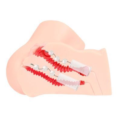 Мастурбатор Kokos 001 Adel ONAHOLE Real Vagina 2WayPlus з функцією масажу та вібрацією SX1430 фото Купити Мастурбатор Kokos 001 Adel ONAHOLE Real Vagina 2WayPlus з функцією масажу та вібрацією  Kokos (Південна Корея) 10 625 грн
