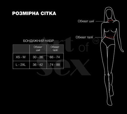 SX4556 фото Купить   Art of Sex  1 069 грн