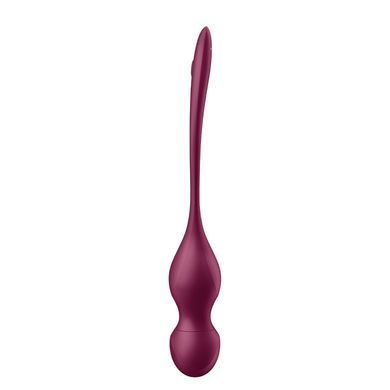 Смарт-вагинальные шарики с вибрацией Satisfyer Love Birds Vary Connect App, изменяемая масса, пульт SX1216 фото Купить   Satisfyer (Німеччина) 2 540 грн