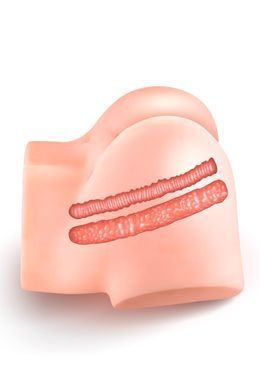 Смоктальна вагіна-мастурбатор Real Body Real Nina, вагіна та анус, з вібрацією і звуком SX3143 фото Купити Смоктальна вагіна-мастурбатор Real Body Real Nina, вагіна та анус, з вібрацією і звуком   4 619 грн