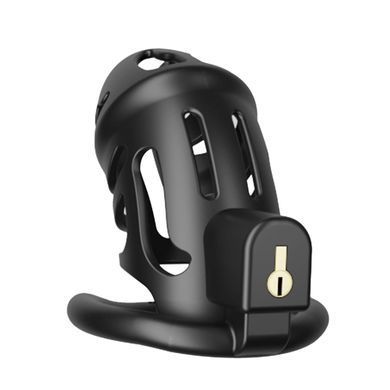 Клітка для пеніса LOCKINK SEVANDA Naja-Cobra Chastity Cage, чорна, 3 кільця різних розмірів SX0872 фото Купити Клітка для пеніса LOCKINK SEVANDA Plastic Penis Chastity Cage, прозора, 3 кільця різних розмірів  LOCKINK (Китай) 720 грн