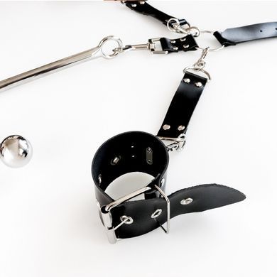 Бондажний набір з металевим анальним гаком Art of Sex Beatrice Bondage set with anal hook №&thinsp;2 SO8507 фото Купити Бондажний набір з металевим анальним гаком Art of Sex Beatrice Bondage set with anal hook №&thinsp;2  Art of Sex  2 623 грн