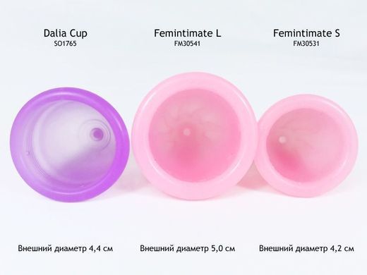 Менструальная чаша Femintimate Eve Cup размер L, диаметр 3,8см, для обильных выделений FM30541 фото Купить Менструальная чаша Femintimate Eve Cup размер L, диаметр 3,8 см, для обильных выделений  Femintimate  399 грн