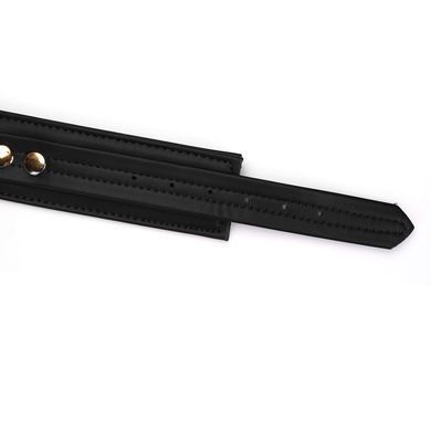 Нашийник з повідцем Liebe Seele Black Organosilicon Collar with Leash, екошкіра SO9484 фото Купити Нашийник з повідцем Liebe Seele Black Organosilicon Collar with Leash, екошкіра  Liebe Seele  1 499 грн