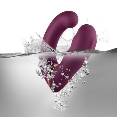Подвійний вібратор Rocks Off Gemini Burgundy, 2 мотори, по 10 режимів, змінне положення ручки SX2425 фото Купити Подвійний вібратор Rocks Off Gemini Burgundy, 2 мотори, по 10 режимів, змінне положення ручки  Rocks Off (Великобританія) 2 586 грн