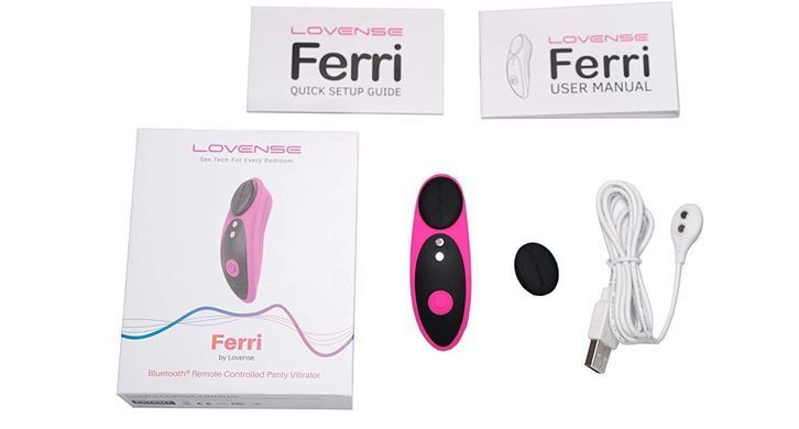 Смарт-вибратор в трусики Lovense Ferri SO4563 фото Купить Смарт-вибратор в трусики Lovense Ferri  Lovense  4 999 грн
