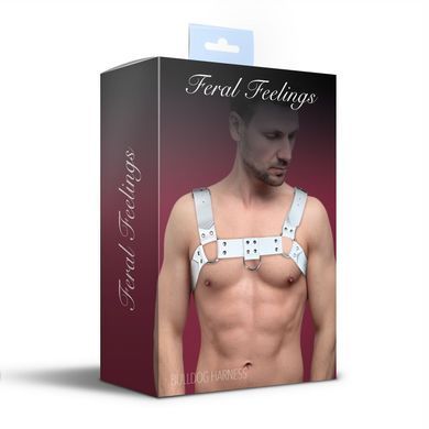 Чоловіча портупея на груди з натуральної шкіри Feral Feelings - Bulldog Harness White SO9412 фото Купити Чоловіча портупея на груди з натуральної шкіри Feral Feelings - Bulldog Harness Black  Feral Feelings  1 257 грн