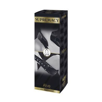 Фиксаторы для ног Alive SUPREMACY (Leg Restraint) SO6737 фото Купить   Alive  1 404 грн