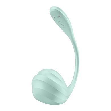Смарт-віброяйце Satisfyer Smooth Petal Connect App Mint SX0666 фото Купити Смарт-віброяйце Satisfyer Smooth Petal Connect App Mint  Satisfyer (Німеччина) 2 217 грн