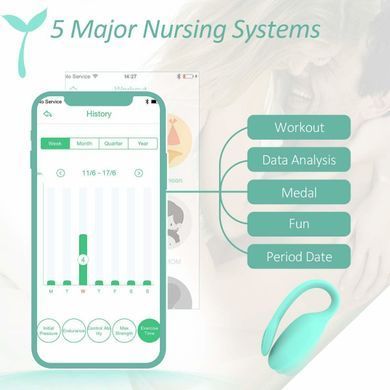 Смарт-тренажер Кегеля Magic Motion Kegel Rejuve, бюджетный вариант, для тренировок и удовольствия SO3114 фото Купить   Magic Motion (Китай) 2 013 грн