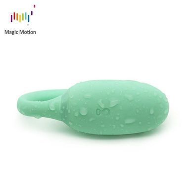 Смарт-тренажер Кегеля Magic Motion Kegel Rejuve, бюджетный вариант, для тренировок и удовольствия SO3114 фото Купить   Magic Motion (Китай) 2 013 грн