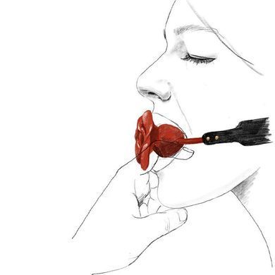 Розкішний кляп у вигляді троянди Zalo - Rose Ball Gag, подвійне використання SO6690 фото Купити Розкішний кляп у вигляді троянди Zalo - Rose Ball Gag, подвійне використання  Zalo  2 422 грн