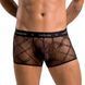 Мужские прозрачные боксеры Passion 032 SHORT JAMES XXL/XXXL Black, сетка SO7569 фото 1