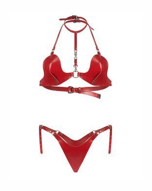 SX3595 фото Купить   Obsessive (Польща) 2 299 грн