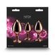 Набір анальних пробок NS Novelties Rear Assets - Trainer Kit - Rose Gold - Pink Heart SX4356 фото 4