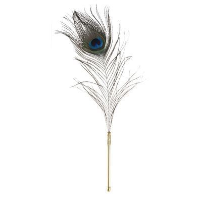 Лоскітка LOCKINK SEVANDA Natural Peacock Flirting Feather Tickler, перо павича SX0895 фото Купити Лоскітка LOCKINK SEVANDA Natural Peacock Flirting Feather Tickler, перо павича  LOCKINK (Китай) 1 274 грн