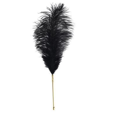 Лоскітка LOCKINK SEVANDA Natural Peacock Flirting Feather Tickler, перо павича SX0895 фото Купити Лоскітка LOCKINK SEVANDA Natural Peacock Flirting Feather Tickler, перо павича  LOCKINK (Китай) 1 274 грн
