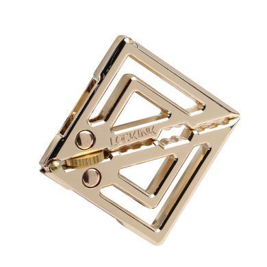 Зажимы для сосков с тяжелой подвеской LOCKINK Adjustable Nipple Clamps with Heavy Pendant - Golden SX0846 фото Купить   LOCKINK (Китай) 923 грн
